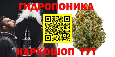 дурь Будённовск