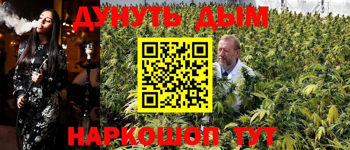 Канабис конопля  Каннабис OG Kush  Вход с VPN  Мурино 