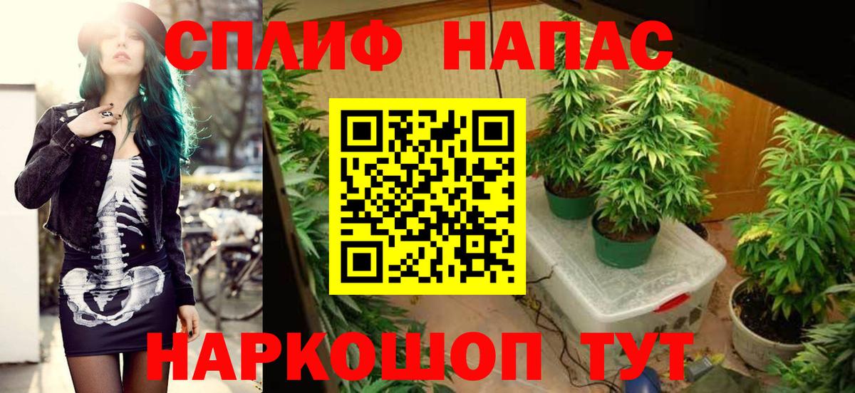 Бошки Шишки тримм Мурино